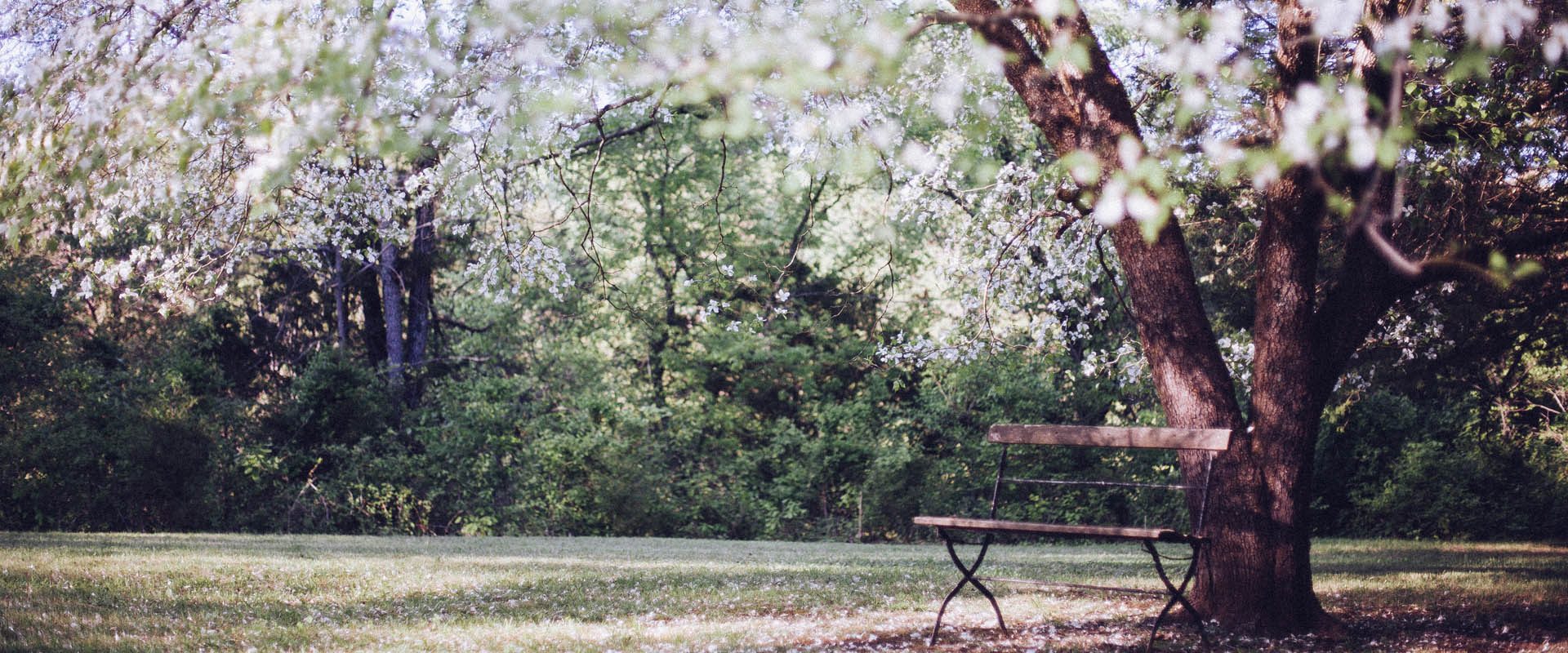 Magdalena Piechniczek